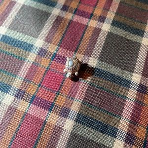 🐢Pandora Turtle Charm🐢